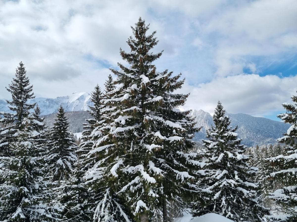 Casa Bondia Villa Hidegpatak Kültér fotó