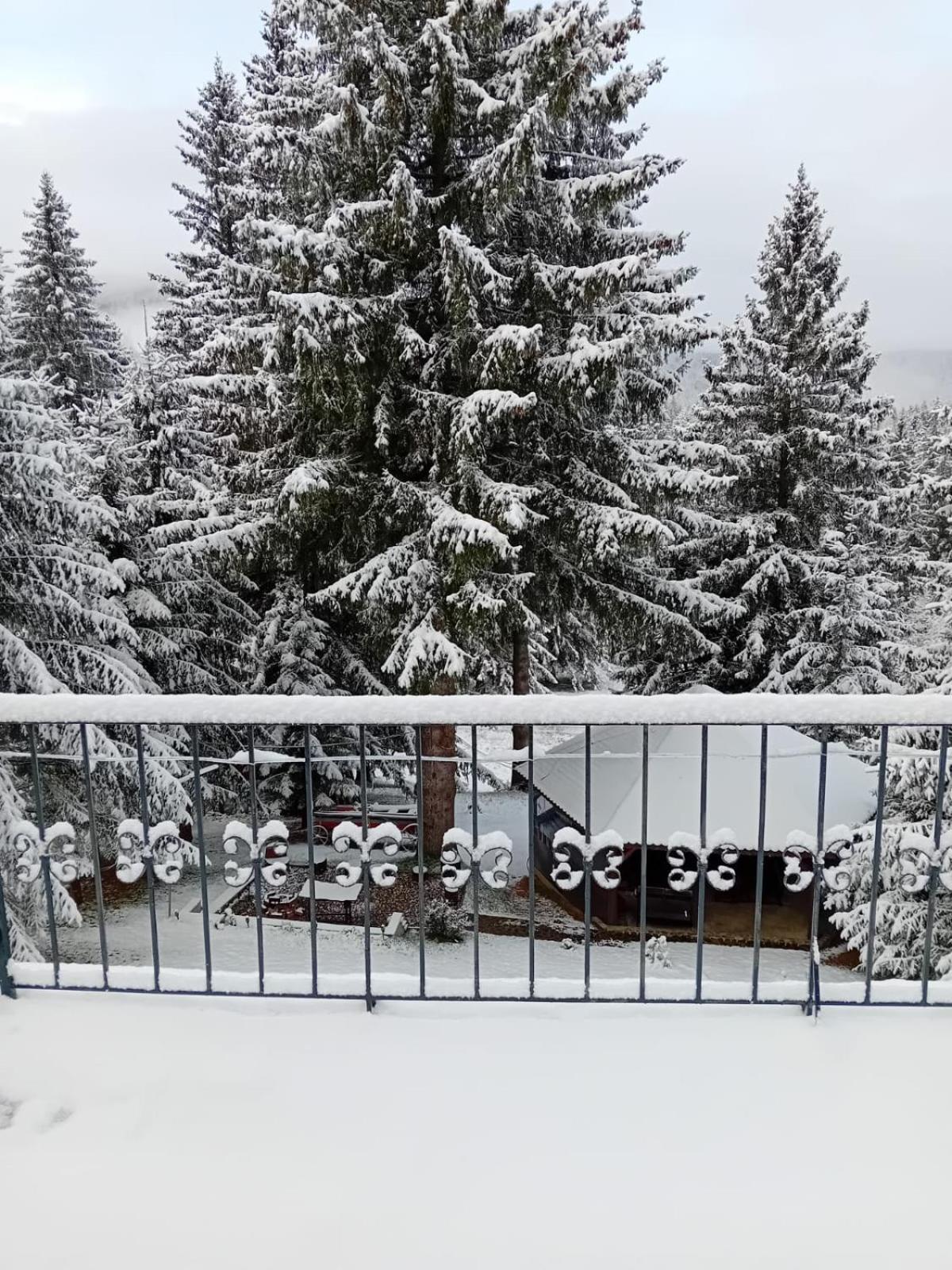 Casa Bondia Villa Hidegpatak Kültér fotó